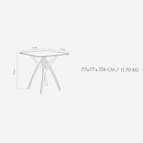 Mesa Ivy 77 x 77 Terrazzo 3